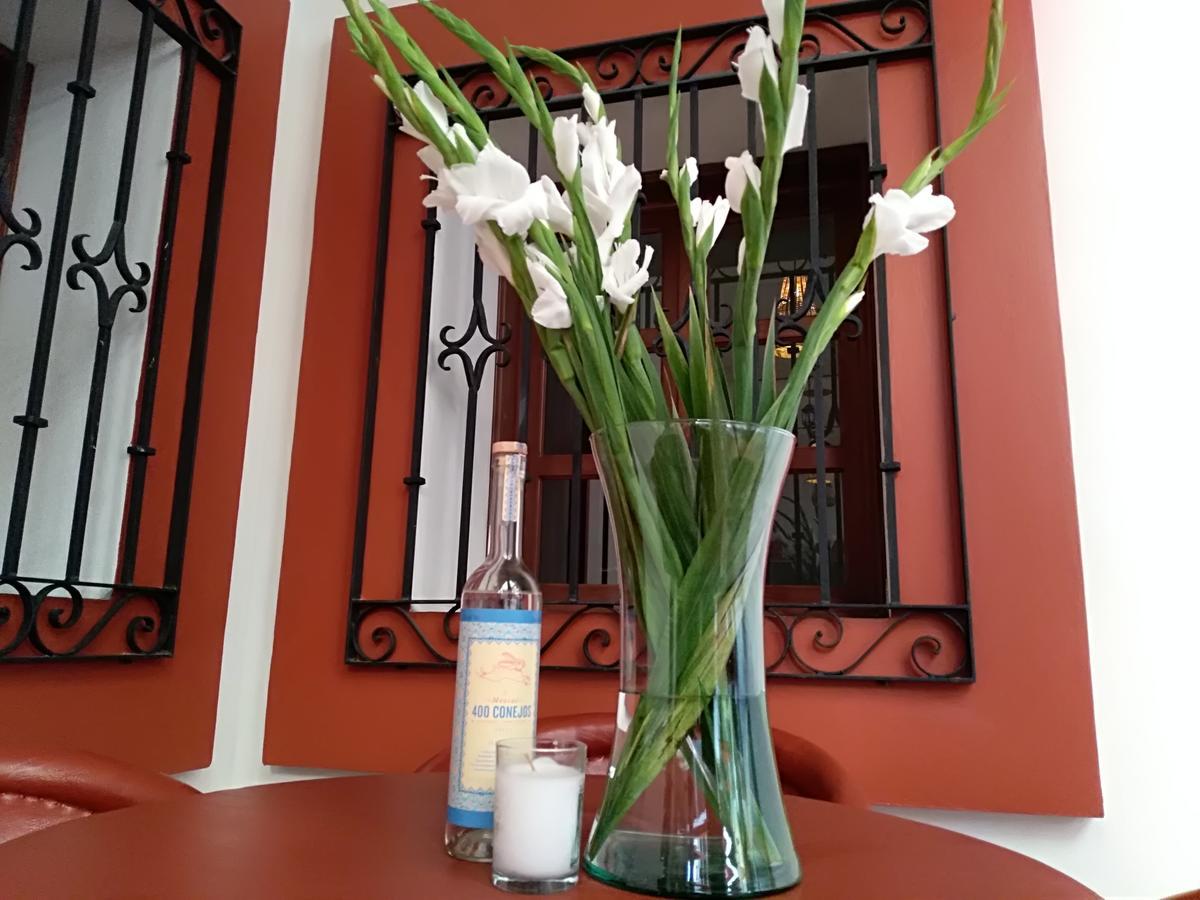 Casa Agave Oaxaca Bed and Breakfast Buitenkant foto