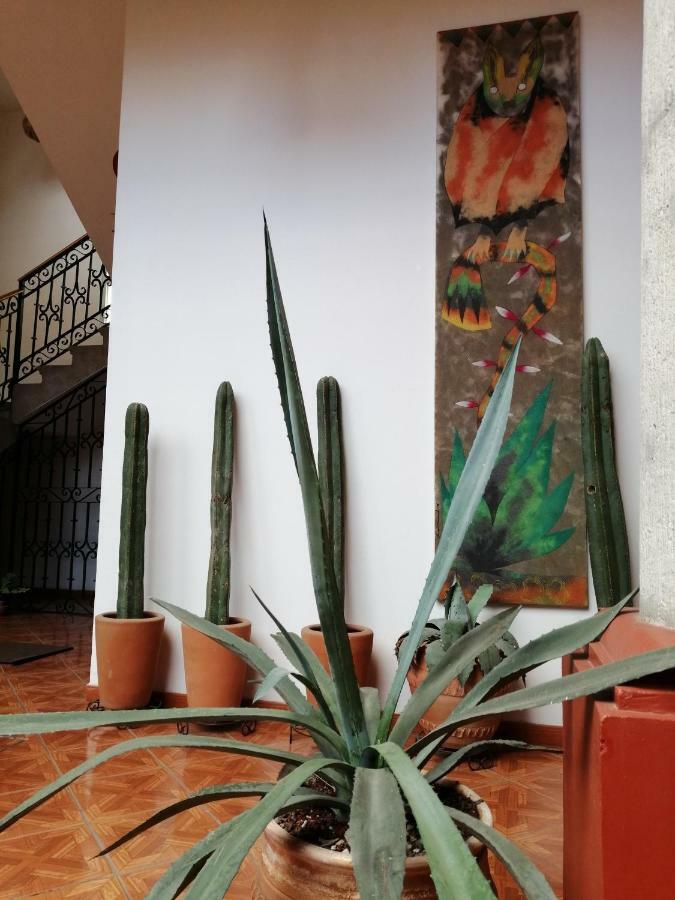 Casa Agave Oaxaca Bed and Breakfast Buitenkant foto