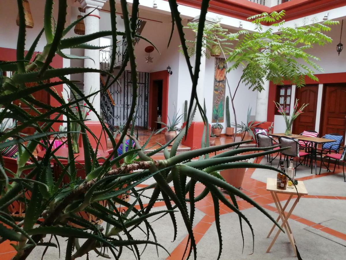 Casa Agave Oaxaca Bed and Breakfast Buitenkant foto